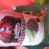 Sarraounia classique