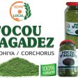 Facou d’Agadez